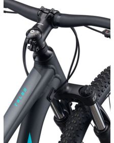 Bicicleta Giant Talon 29 3 C10 Bloqueo