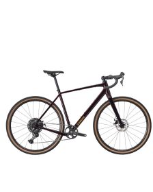 Bicicleta Trek Checkpoint ALR 3
