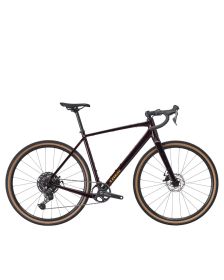 Bicicleta Trek Checkpoint ALR 3